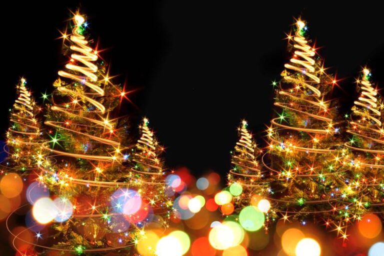 Winter Magic Drive Through Christmas Lights Display